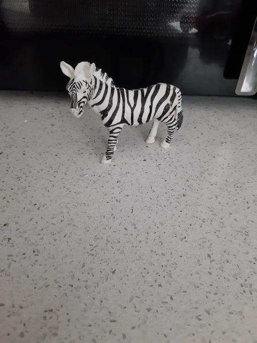 Buy & Sell South Hylton Sunderland - Photos for zebra