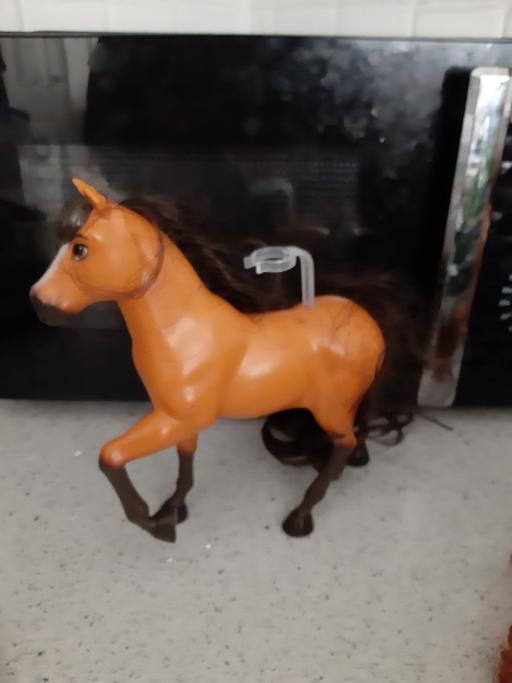 Buy & Sell South Hylton Sunderland - Photos for horse