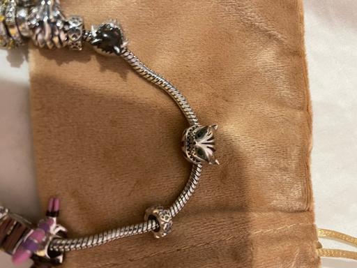 Buy & Sell Wingerworth Chesterfield - Photos for Cheshire Cat charm