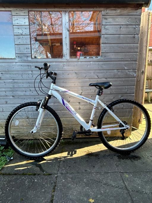 Buy & Sell Willenhall Walsall - Photos for Ladies mountain bike ( ELUSION )