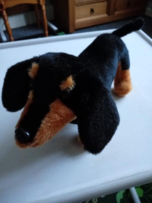 Buy & Sell Horncastle East Lindsey - Photos for soft toy dog
