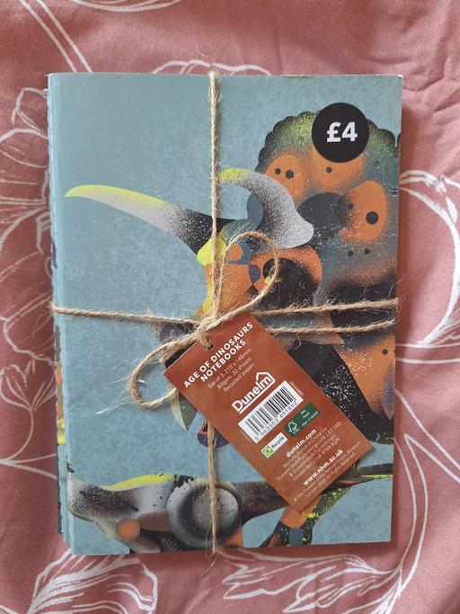 Buy & Sell Ettingshall Park Wolverhampton - Photos for Bundle of 3 Dinosaur note books 📚