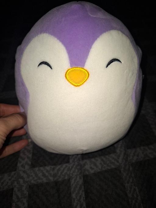 Buy & Sell Dodworth Barnsley - Photos for squishmallow teddy