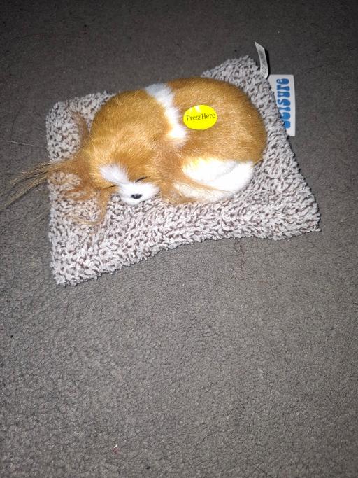 Buy & Sell Dodworth Barnsley - Photos for brand new dog on cushion toy