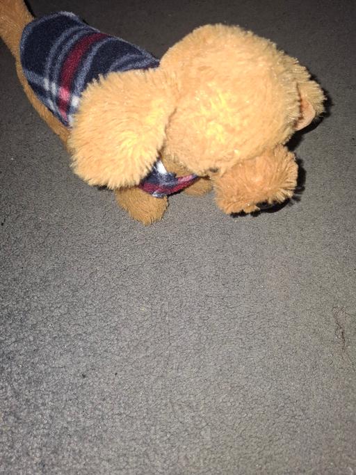 Buy & Sell Dodworth Barnsley - Photos for dog teddy