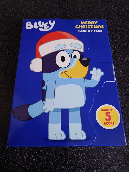 Buy & Sell Woodthorpe Charnwood - Photos for Bluey merry Christmas box of fun activity