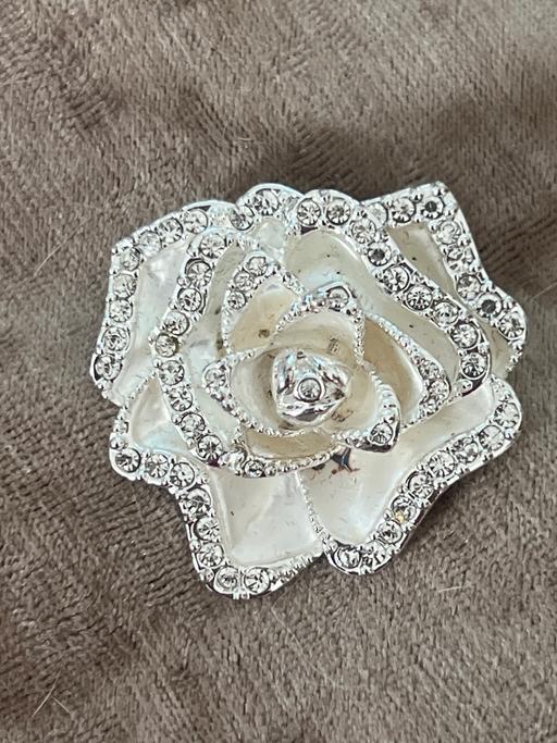 Buy & Sell Rottingdean Brighton - Photos for Beautiful brooch