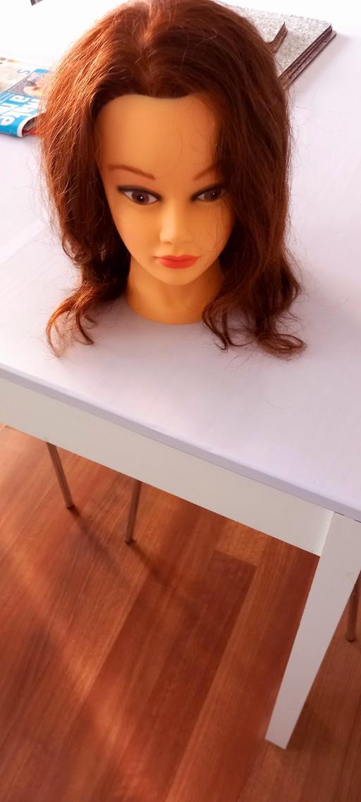 Buy & Sell Brookvale Halton - Photos for Model Heads and Clamp