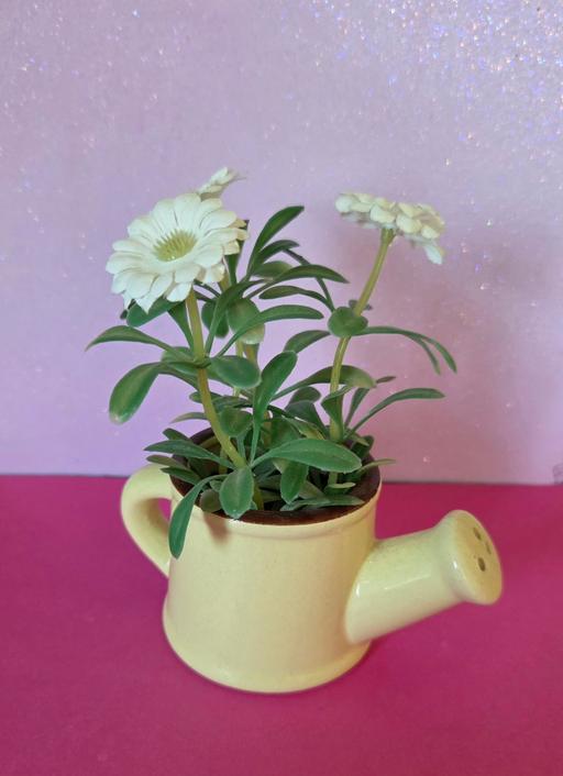 Buy & Sell Westgate-on-Sea Thanet - Photos for WATERING CAN WITH DAISES