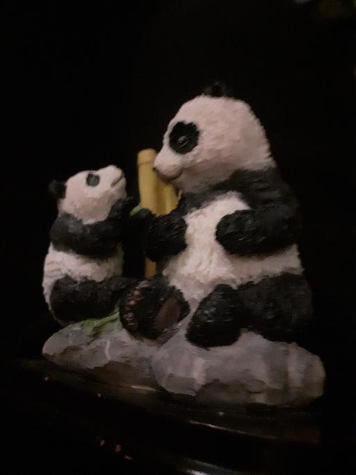 Buy & Sell Acocks Green Birmingham - Photos for number 2 panda