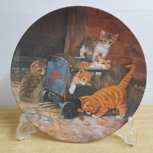 Buy & Sell Preston South Ribble - Photos for COLLECTOR'S DISPLAY PLATE 🐈‍⬛️