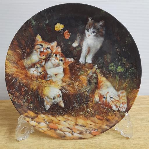 Buy & Sell Preston South Ribble - Photos for COLLECTOR'S DISPLAY PLATE