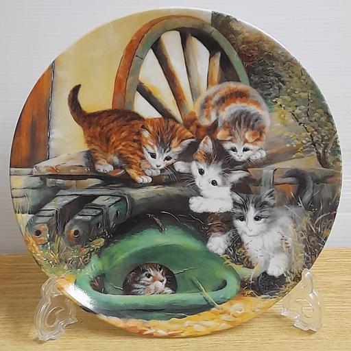 Buy & Sell Bamber Bridge South Ribble - Photos for COLLECTOR'S DISPLAY PLATE