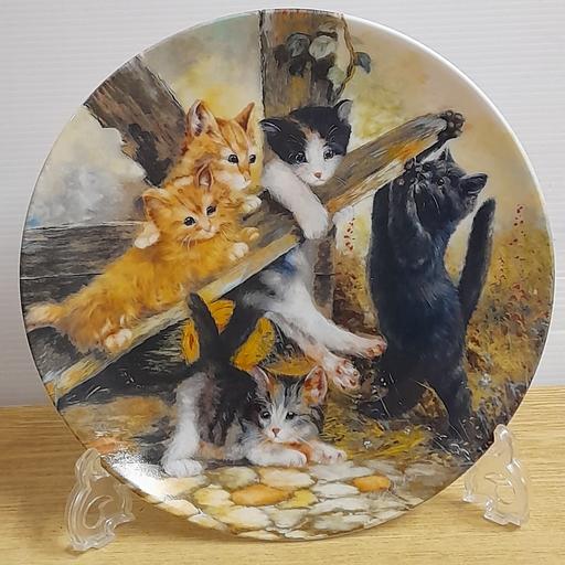 Buy & Sell Preston South Ribble - Photos for COLLECTOR'S DISPLAY PLATE