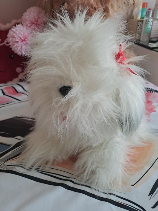 Buy & Sell Park Hill Sheffield - Photos for deluxe dog soft toy