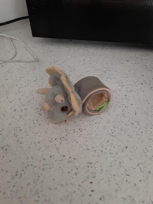 Buy & Sell South Hylton Sunderland - Photos for dino snap band