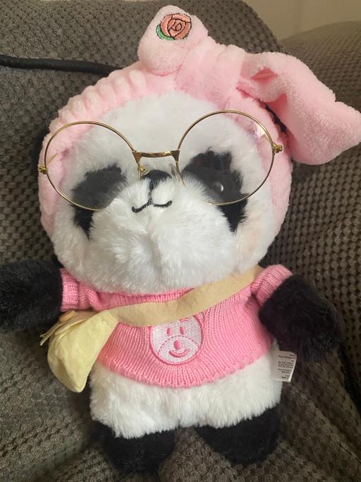 Buy & Sell North Wingfield North East Derbyshire - Photos for Panda 🐼 plushie