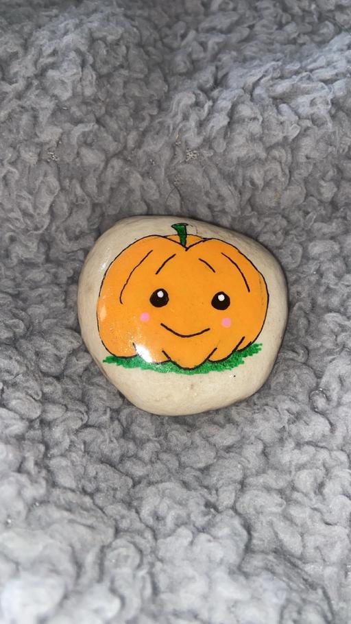 Buy & Sell Stow Heath Wolverhampton - Photos for Pumpkin pebble