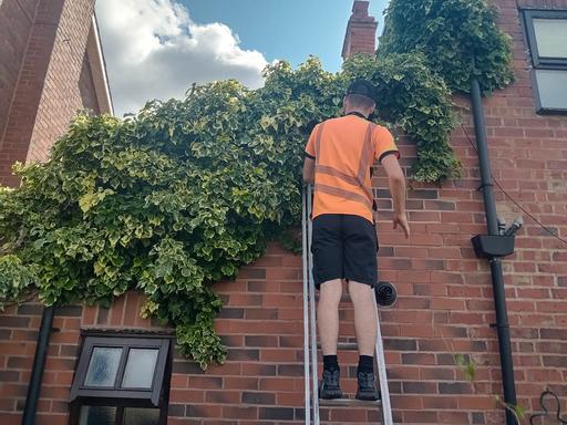 Buy & Sell Halesowen Dudley - Photos for landscapes and gardening