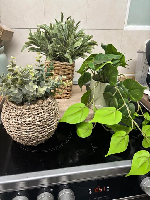 Buy & Sell Bartley Green Birmingham - Photos for Bundle of artificial plants