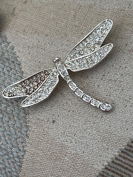 Buy & Sell Ovingdean Brighton - Photos for Beautiful brooch