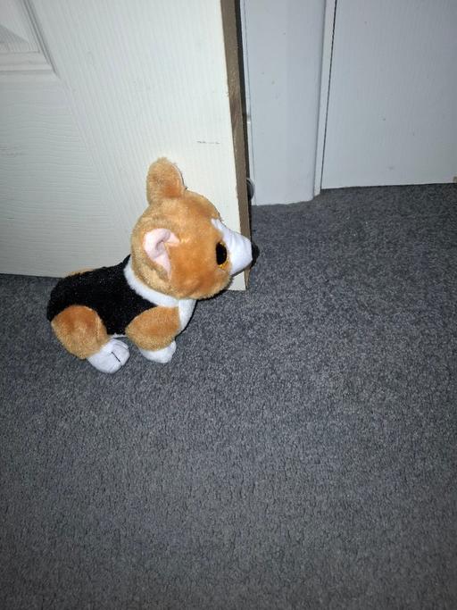 Buy & Sell Dodworth Barnsley - Photos for teddy