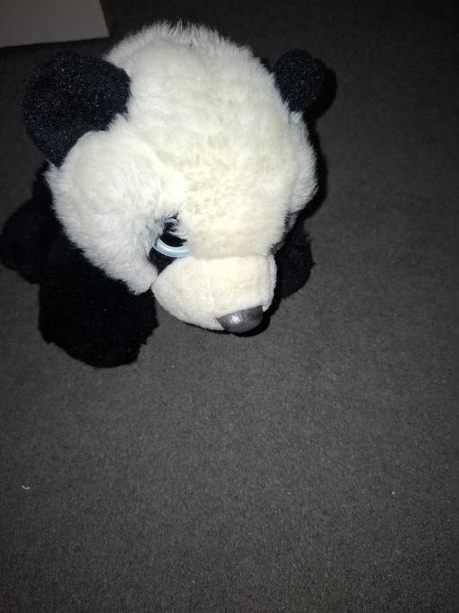 Buy & Sell Dodworth Barnsley - Photos for teddy