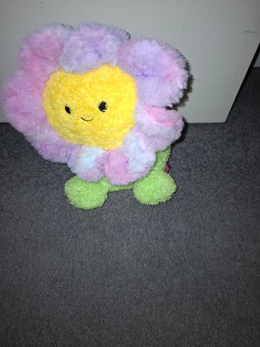 Buy & Sell Dodworth Barnsley - Photos for teddy