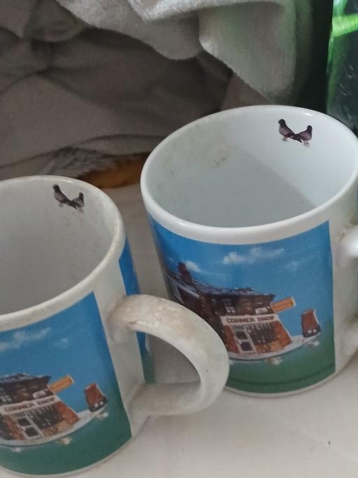 Buy & Sell Netherton Dudley - Photos for 2 coronation street cups