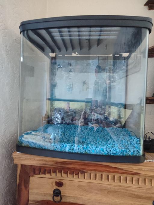 Buy & Sell Lyng Sandwell - Photos for Aquarium