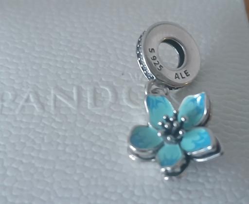 Buy & Sell Beeston Broxtowe - Photos for Pandora 💕