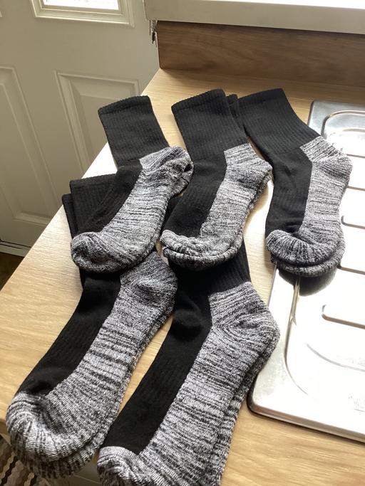 Buy & Sell Shotton Colliery County Durham - Photos for 5 pair men’s socks size 6 / 8.5