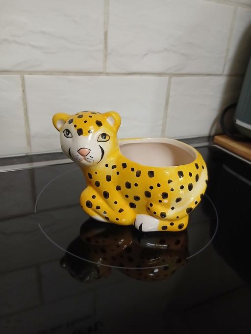 Buy & Sell Bradley Fold Trading Estate Bury - Photos for Small Plant Pot Good Con