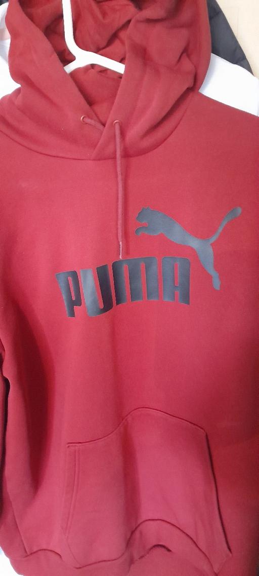 Buy & Sell Walsall Wood Walsall - Photos for puma hoodie brand new.L loose fit