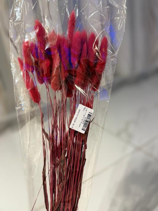 Buy & Sell Roehampton South West London - Photos for Mix colours of Dried pampas