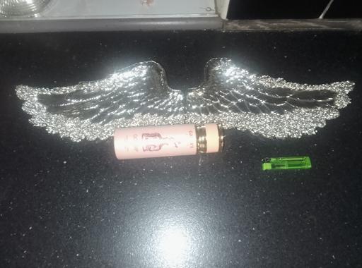 Buy & Sell Sheffield Sheffield - Photos for wing ornament