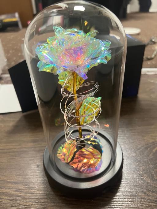 Buy & Sell Bardsley Oldham - Photos for Rose in Glass Dome with colour changinLights 