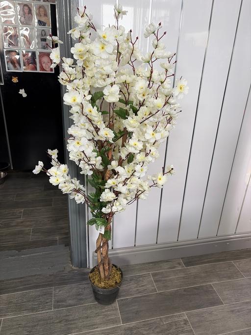 Buy & Sell Duckmanton Chesterfield - Photos for Leaf artificial 120cm white blossom tree