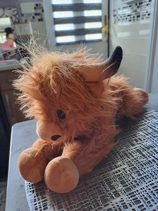 Buy & Sell Park Hill Sheffield - Photos for lying down highland cow