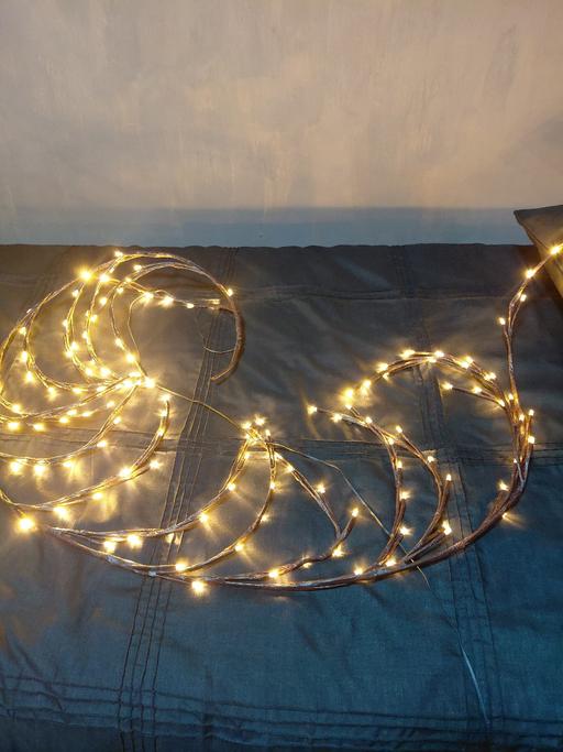 Buy & Sell Saint Helens Merseyside - Photos for twig lights