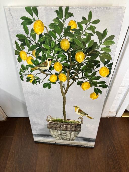 Buy & Sell Bartley Green Birmingham - Photos for Large canvas from the Range