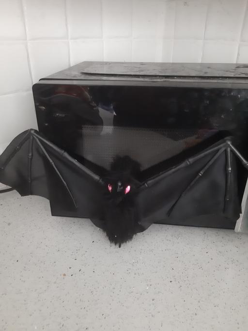 Buy & Sell South Hylton Sunderland - Photos for bat