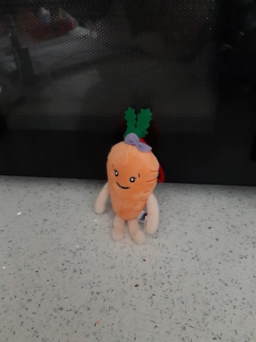 Buy & Sell South Hylton Sunderland - Photos for girl carrot