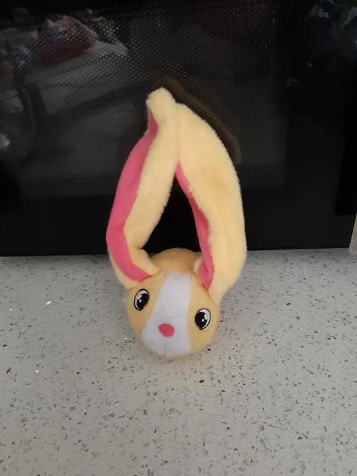 Buy & Sell South Hylton Sunderland - Photos for bunny magnet