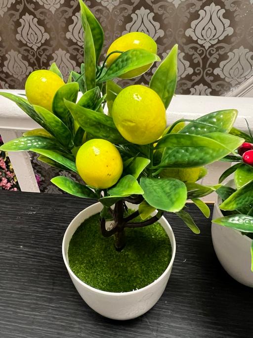 Buy & Sell Bardsley Oldham - Photos for Set of 3 kitchen decoration artificial plants