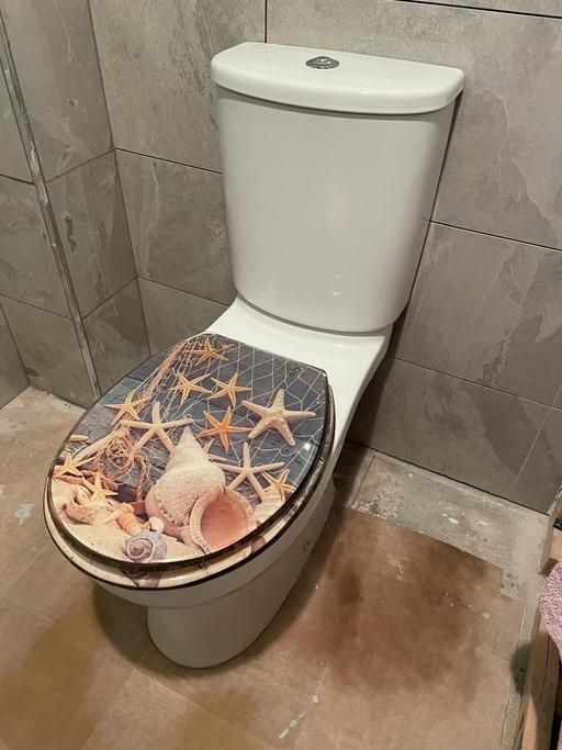 Buy & Sell Brockmoor Dudley - Photos for PUSH BUTTON FLUSH TOILET