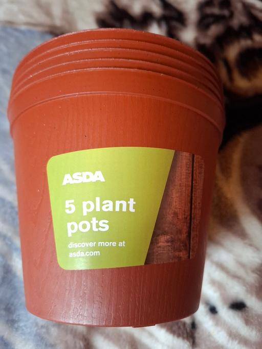 Buy & Sell Woodsetton Dudley - Photos for PLANT 🪴 POTS