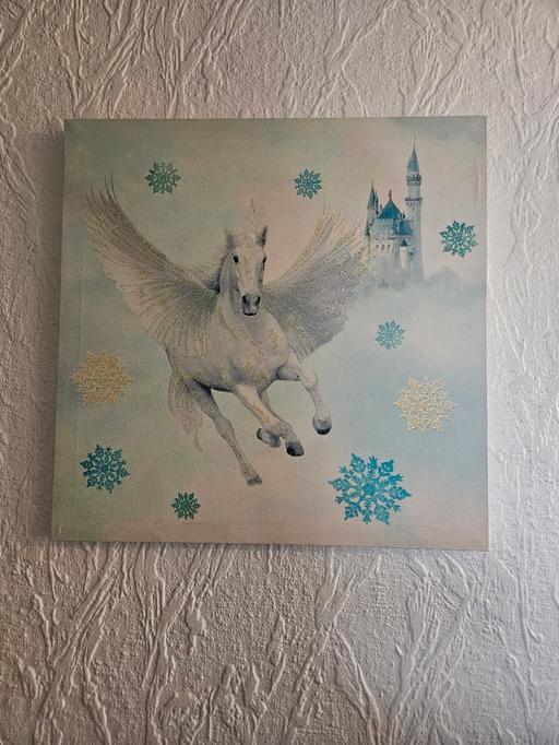 Buy & Sell Packmoor Stoke-on-Trent - Photos for Unicorn Canvas