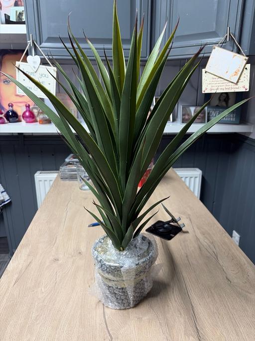 Buy & Sell Duckmanton Chesterfield - Photos for Leaf artificial plant