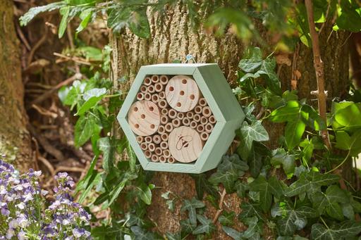 Buy & Sell Sidcup Bexley - Photos for Mason Bee Hexbox